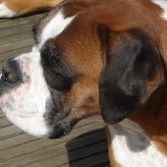 Doris Porter Photo 9