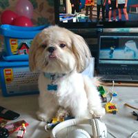 Kathleen Mcglynn Photo 13