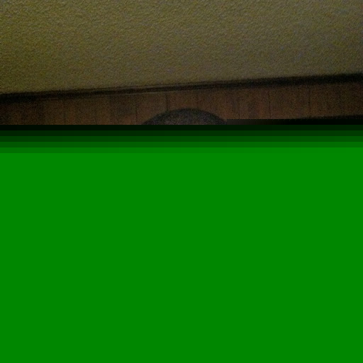 Thaddeus Mccullough Photo 2