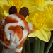 Timothy Day Photo 40