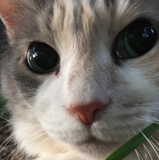 Angela Maxwell Photo 24 Angela Maxwell Photo 24