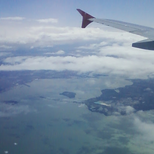 Gerald Herman Photo 16 Gerald Herman Photo 16