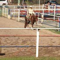 Debbie Pilgrim Photo 14