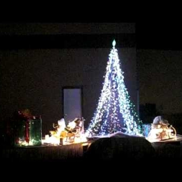 Kim Halverson Photo 31