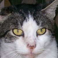 Phyllis Becker Photo 20