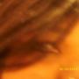Bridget Clark Photo 10