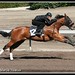 Brian Barrett Photo 26