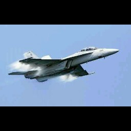 Scott Rowland Photo 12