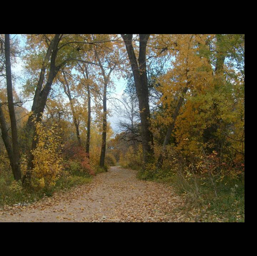 Benjamin Saunders Photo 22