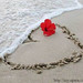 Thanh Dau Photo 15