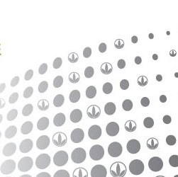 Tiffany Ramirez Photo 19