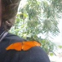 Cynthia Burkhart Photo 24