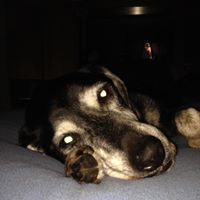 Terry Prather Photo 11