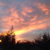 Debbie Higginbotham Photo 9