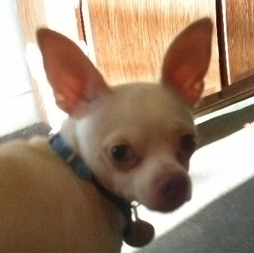 Janice Lloyd Photo 34