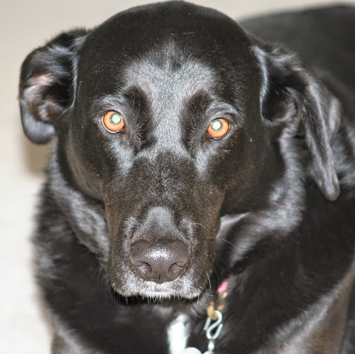 Bonnie Mcgee Photo 5