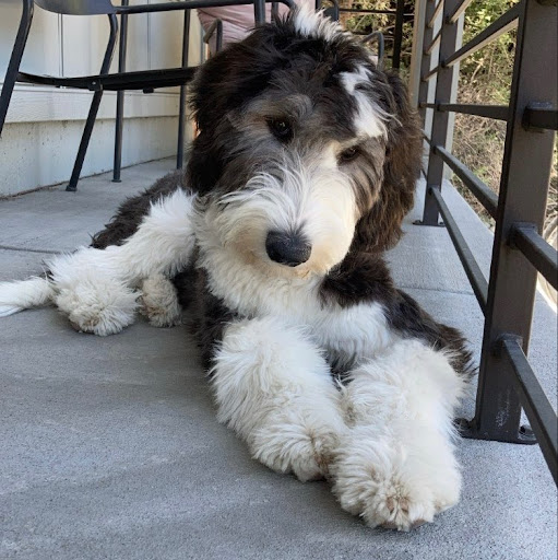 Adrian Batiste Photo 1