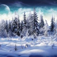 Crystal Mccarthy Photo 31