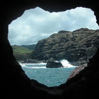 Steven Cowan Photo 34