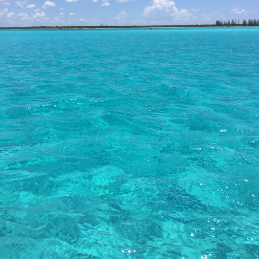 Rafael Aguirre Photo 24 Rafael Aguirre Photo 24