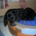 Chris Gatti Photo 25