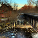 Daniel Comstock Photo 30