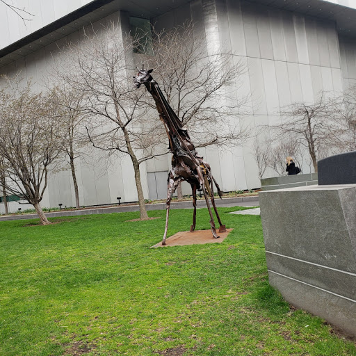 Andrew Swift Photo 40