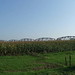 John Thompson Photo 31