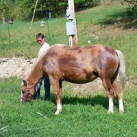 Patricia Douglas Photo 15