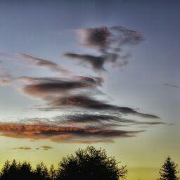 Charlie Duncan Photo 16