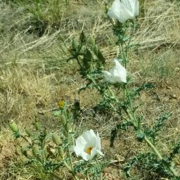 Debra Ashley Photo 17