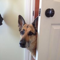 Colleen Slater Photo 6