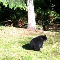 Jeffrey Schafer Photo 7