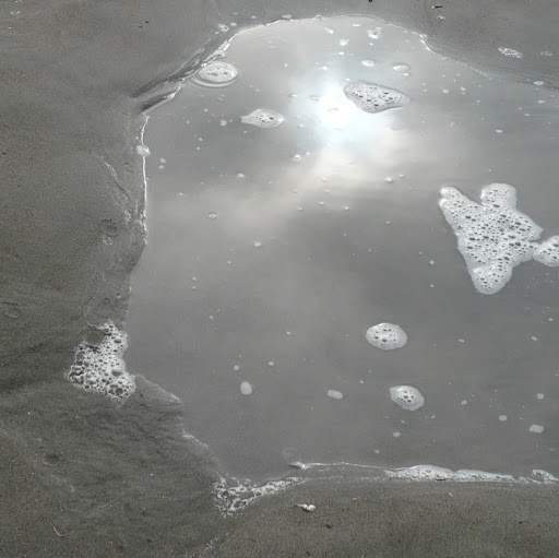 Cecilia Ponce Photo 12