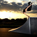 Richard Manning Photo 15