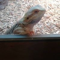 Christine Trotter Photo 7