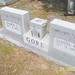 Sharon Gore Photo 40