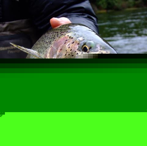 Sean Mooney Photo 33 Sean Mooney Photo 33