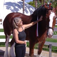 Debra Meyers Photo 9