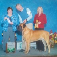 Shirley Webber Photo 29