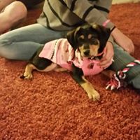 Martha Short Photo 28