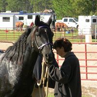 Julie Coats Photo 10