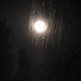 Erin Moon Photo 13