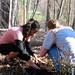 Nancy Frick Photo 15