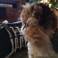 Brian Mercier Photo 11