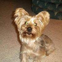 Cindy Joyner Photo 9