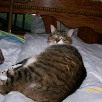 Janis Fisher Photo 13