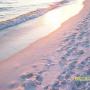 Kathleen Franks Photo 20
