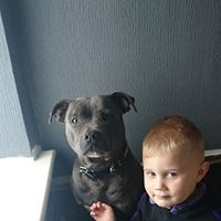 Stacey Curtiss Photo 4