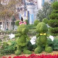 Carla Yoder Photo 5